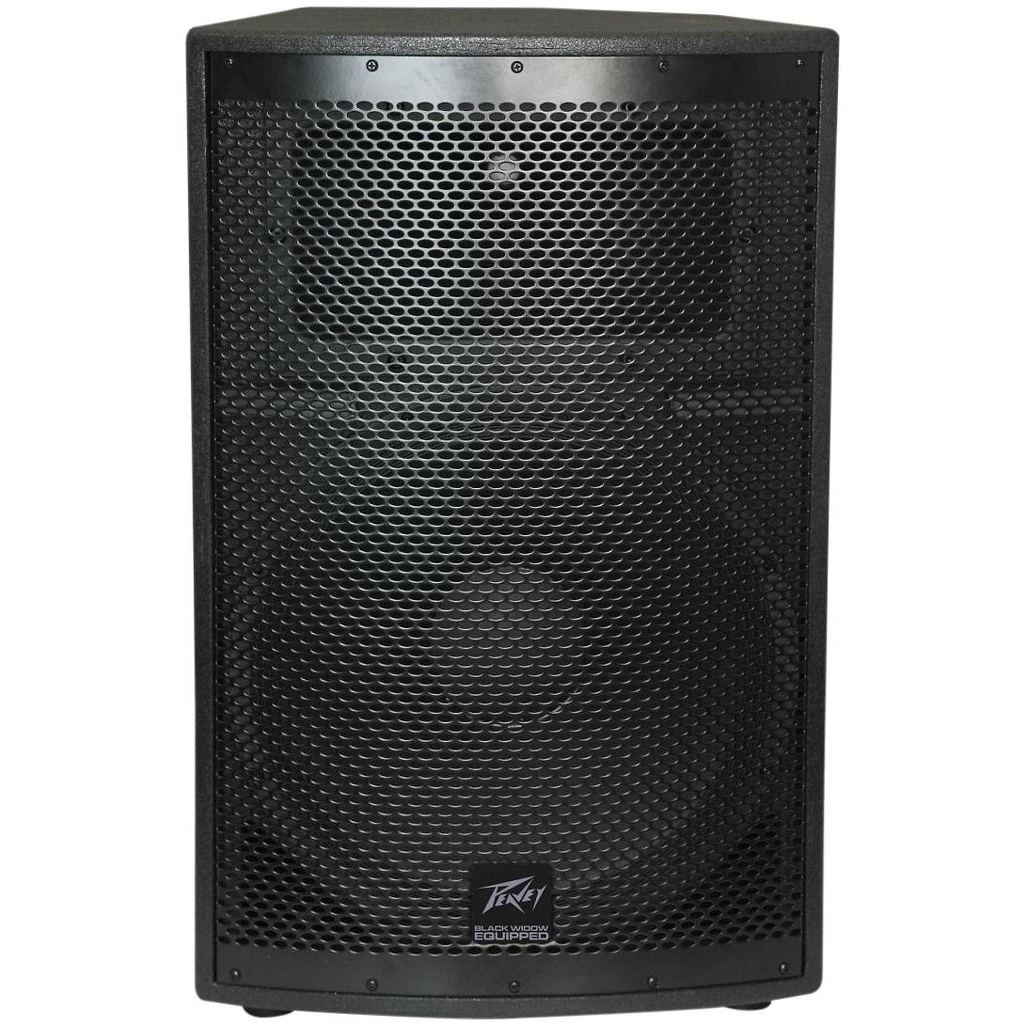 Peavey SP 2 1000 Watt 2 Way PA Speaker Quintana s Music and